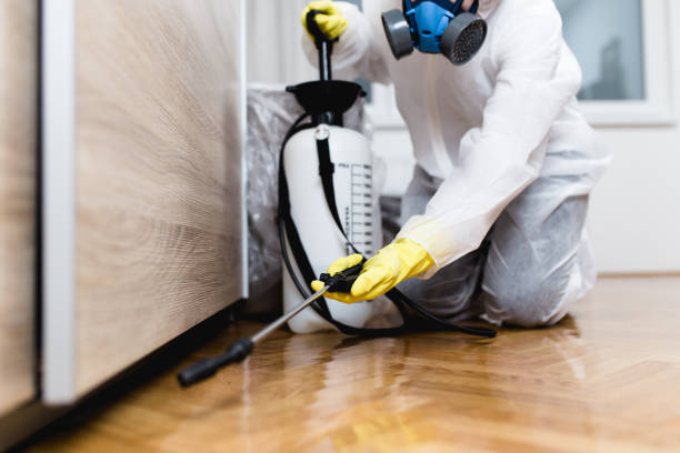 Best Exterminator Services  in Willow Grove, TX