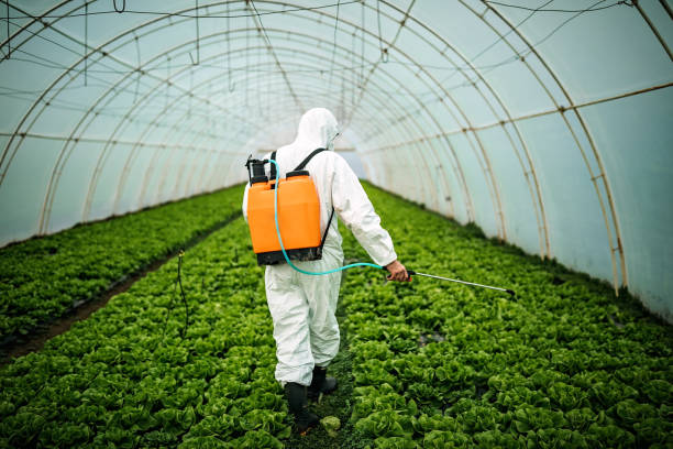 Best Pest Control Near Me  in Willow Grove, TX