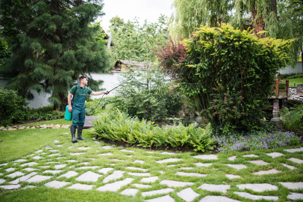 Best Best Pest Control Companies  in Willow Grove, TX