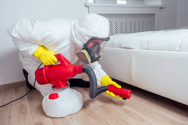 Best Local Pest Control Services  in Willow Grove, TX