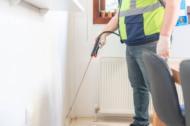 Best Pest Inspection Near Me  in Willow Grove, TX