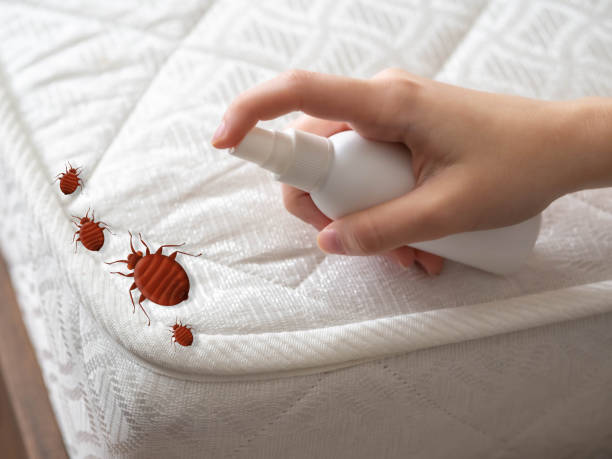 Best Pest Control for Businesses  in Willow Grove, TX