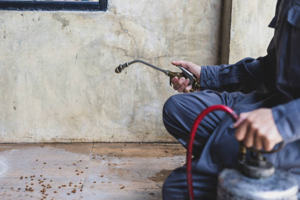 Best Emergency Pest Control  in Willow Grove, TX